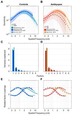 Spatial frequency channels depend on stimulus bandwidth in normal and amblyopic vision: an exploratory factor analysis